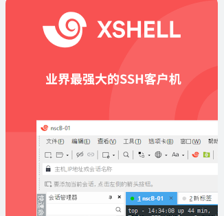为什么找不到 Xshell中文版入口？新手最容易忽略的地方