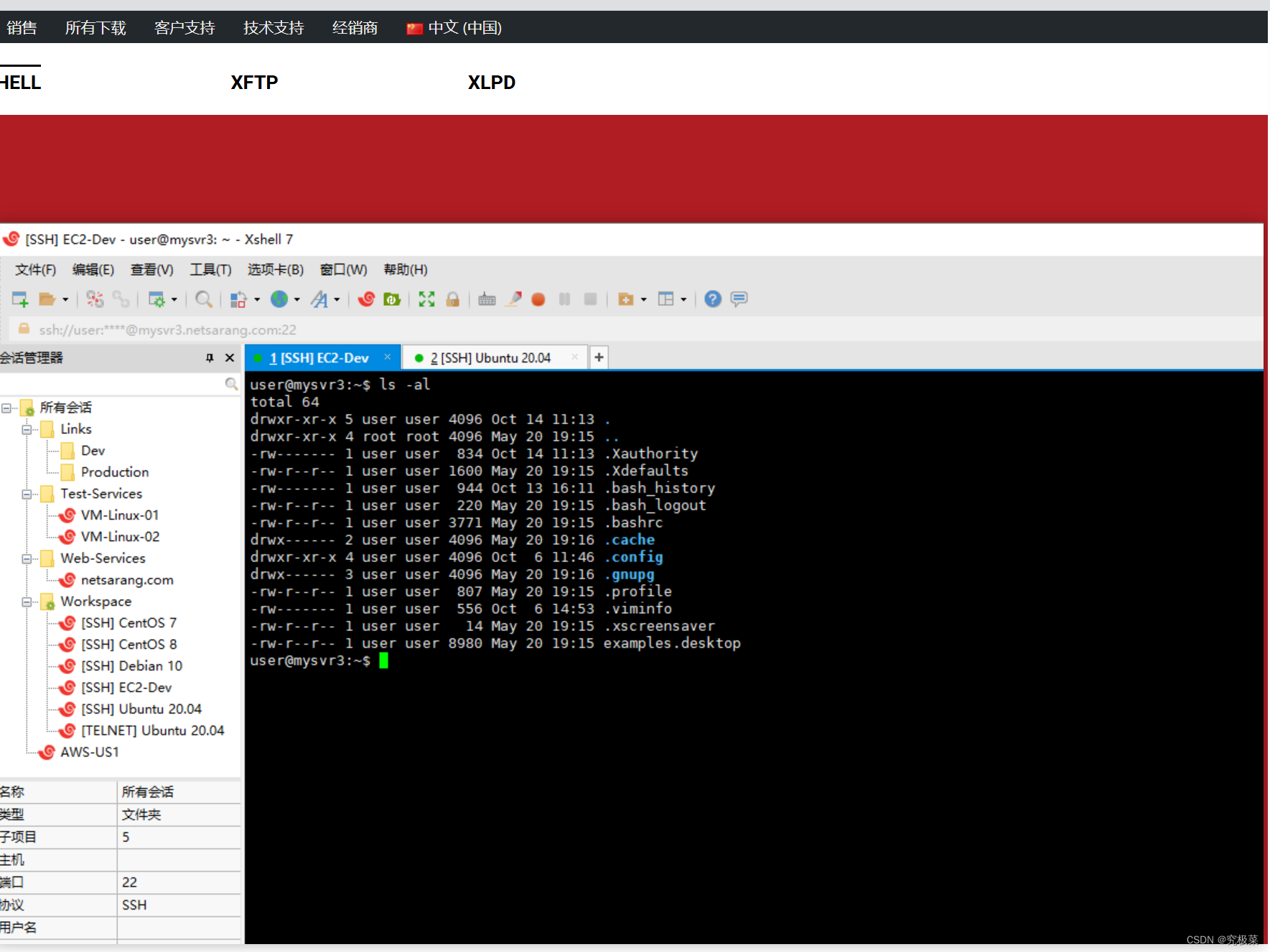 Xshell中文版怎么用？详细使用教程与实战技巧